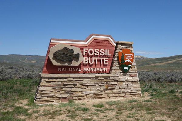 Monument Signage - Fossil Butte