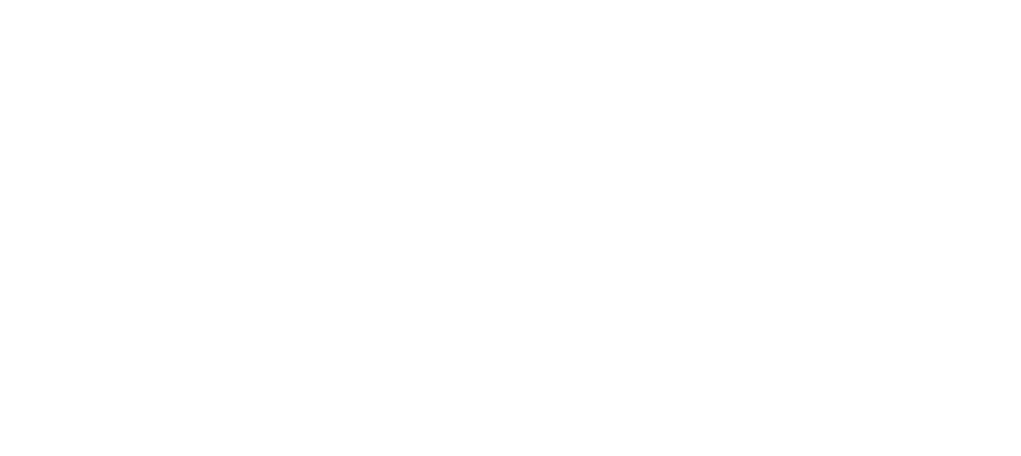 Visual Impression Logo White